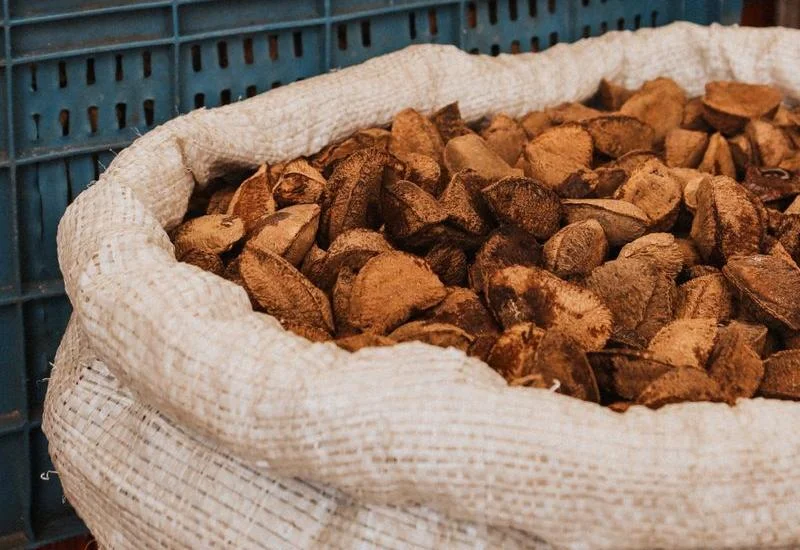 Brazil Nuts
